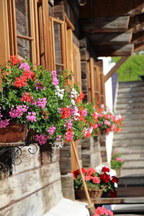 Schmiedlehnerhof Villa Birnberg Екстериор снимка